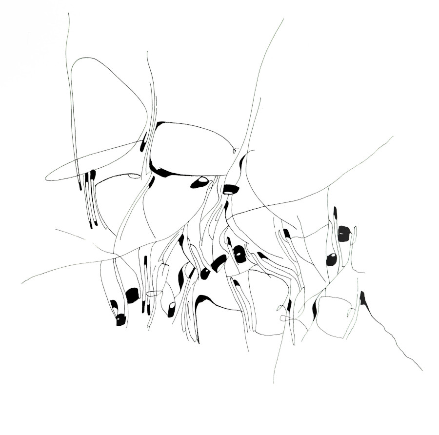 Kurs_489 Kalligraphie Kurs mit Anja Lüdtke